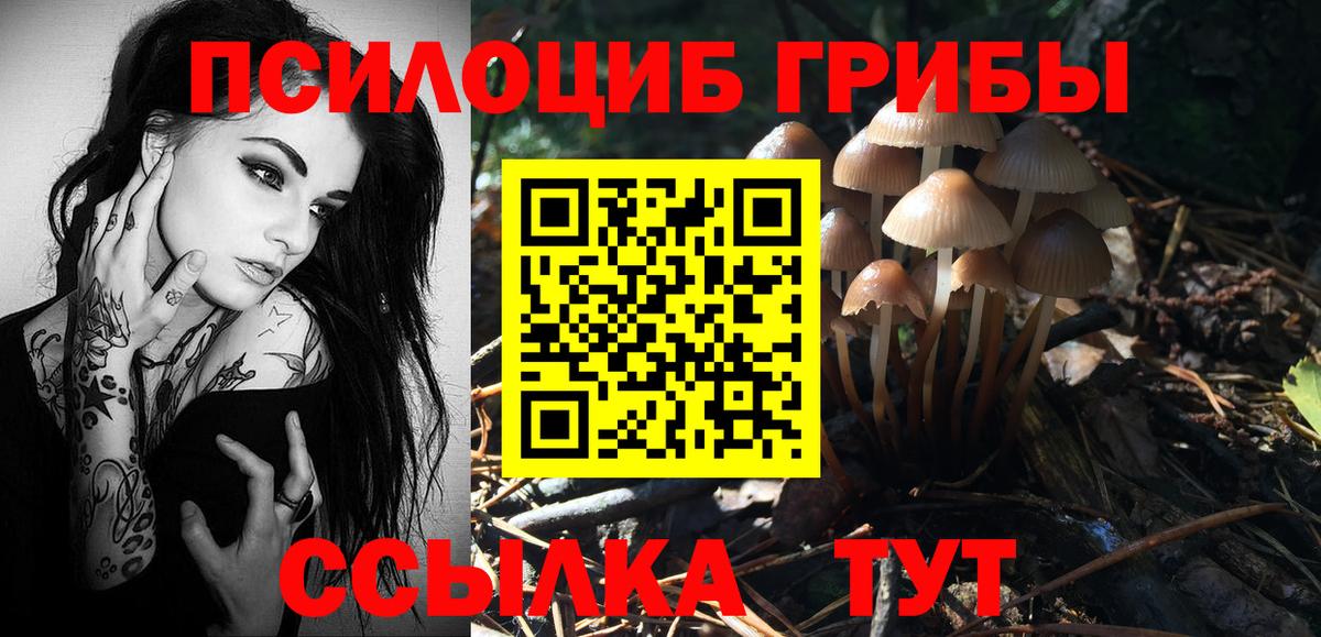 купить закладку  Вход с VPN  Галлюциногенные грибы ЛСД  Карпинск  Псилоцибиновые грибы мицелий 