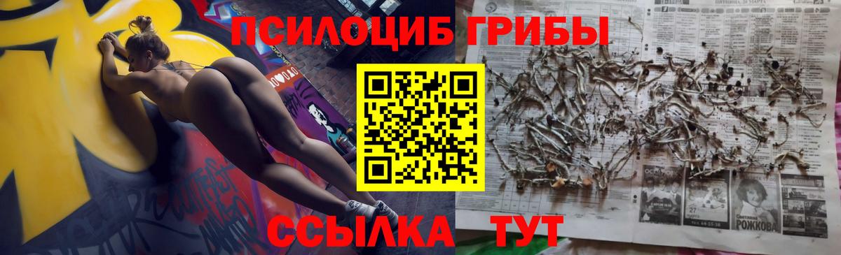Галлюциногенные грибы GOLDEN TEACHER Карпинск